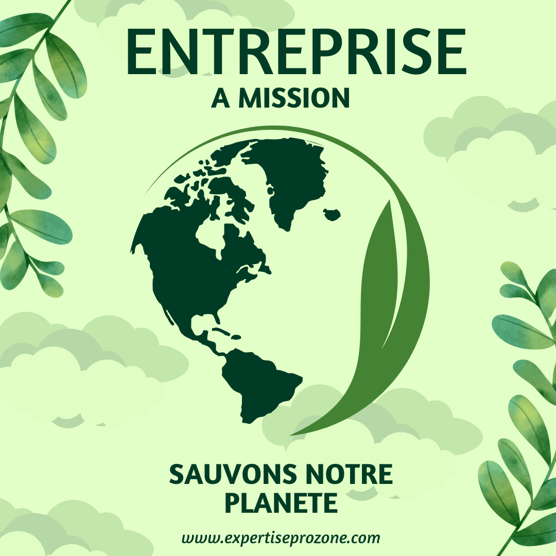 entreprise à mission